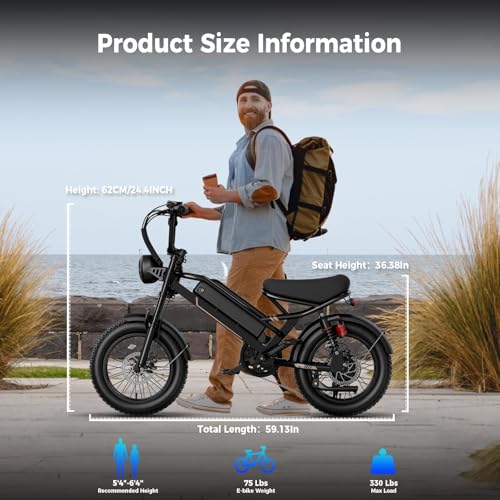 1500W 48V Removable Battery 16'' Fat Tire Full Suspension Electric Bike Q69936