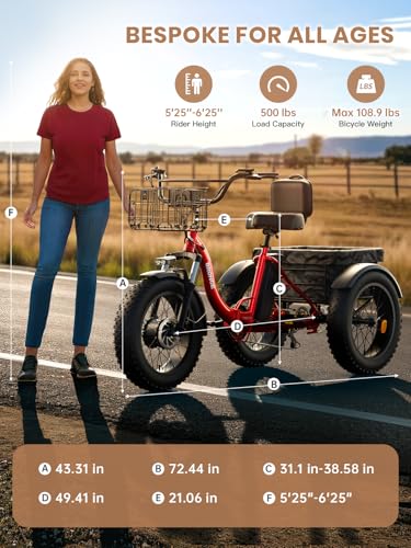 Electric Trike 20" Fat Tire 3 Wheel Folding Electric Tricycle O1163