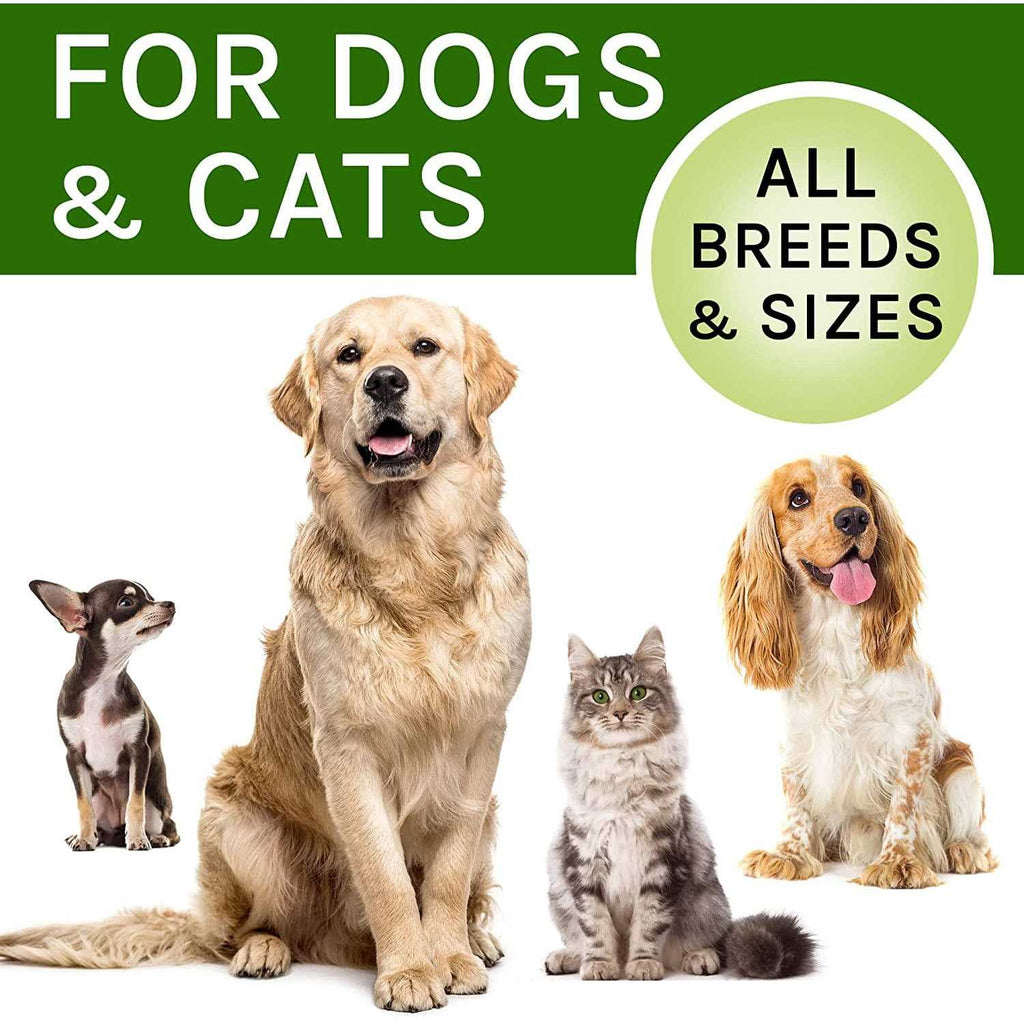Kennel Cough Herbal Drops for Dogs & Cats Z561