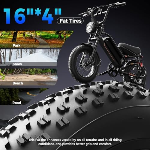 1500W 48V Removable Battery 16'' Fat Tire Full Suspension Electric Bike Q69936