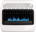 30,000 BTU Propane Natural Gas Wall Heater, White S29936