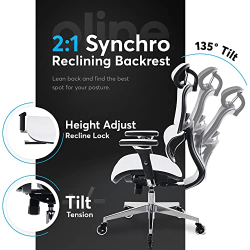 Ergonomic Office Chair with 4D Adjustable Armrest, Mesh (Black) Z68479