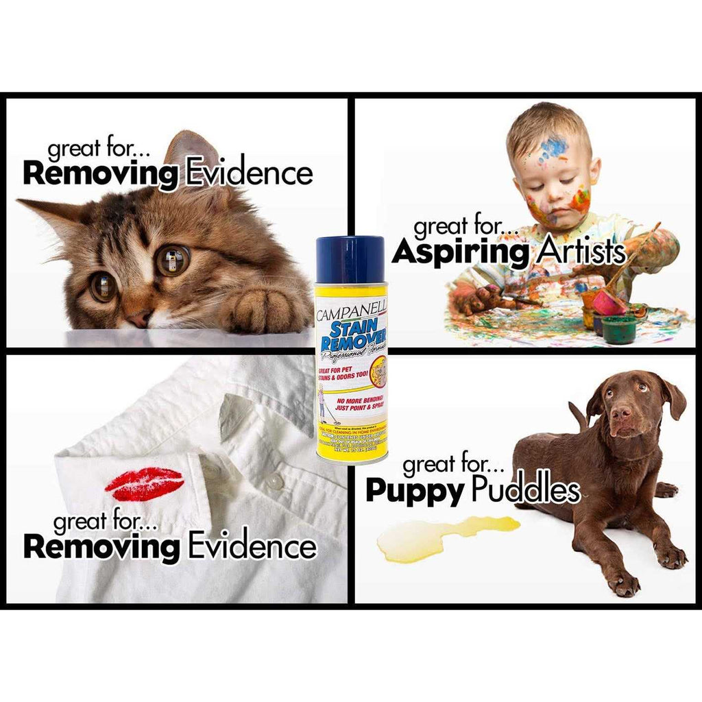 Stain Remover Pet Stain and Odor Eliminator S60148