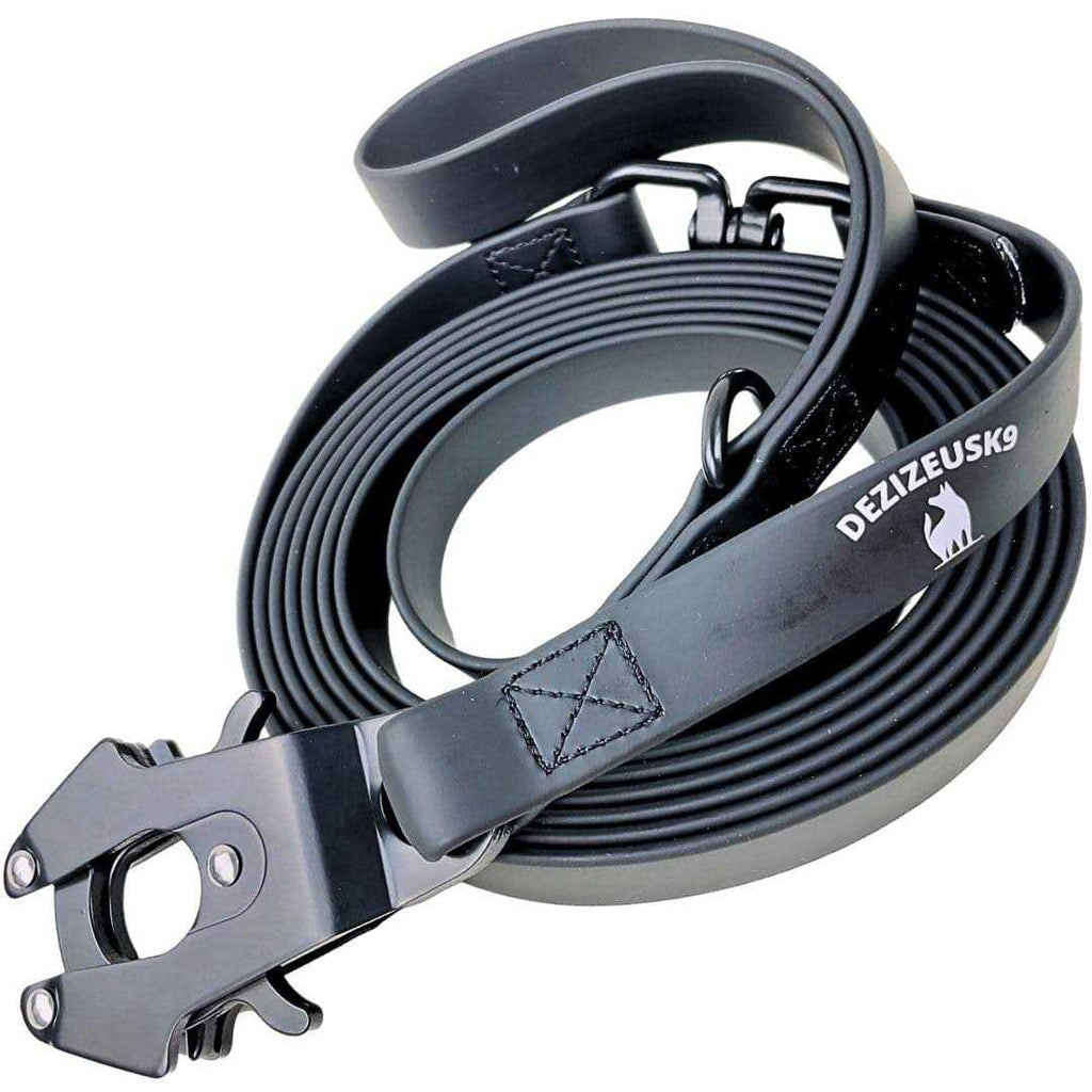 Heavy Duty Dog Leash with Quick Release Locking Carabiner Clasp I878