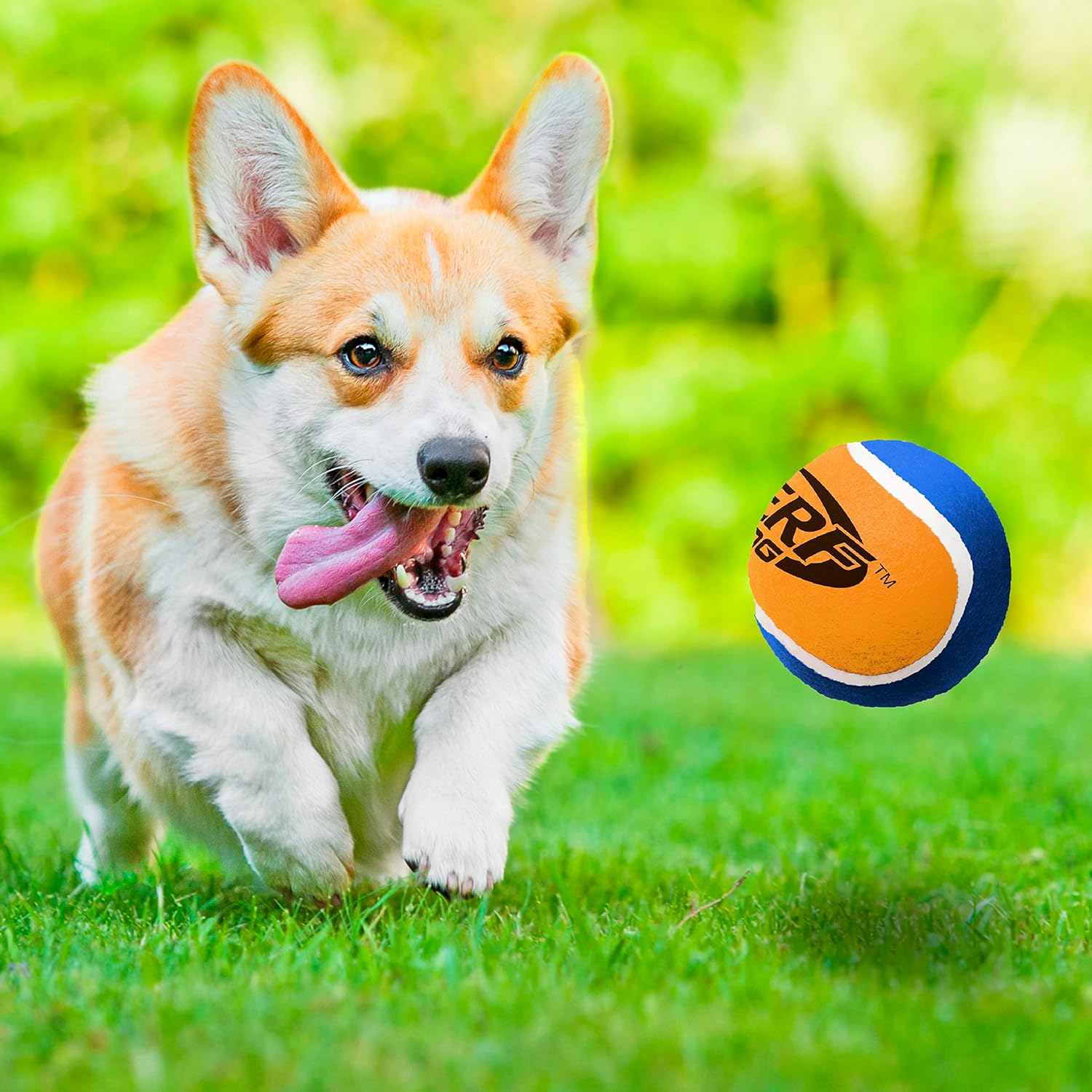 Tennis Ball Dog Toys, 3 Inches, Two Pack I348