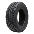 All Season P275/60R15 107T Passenger Tire V43303
