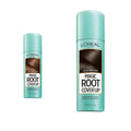 Light Brown and Dark Brown 2 oz. Gray Concealer Spray Bundle Q466294