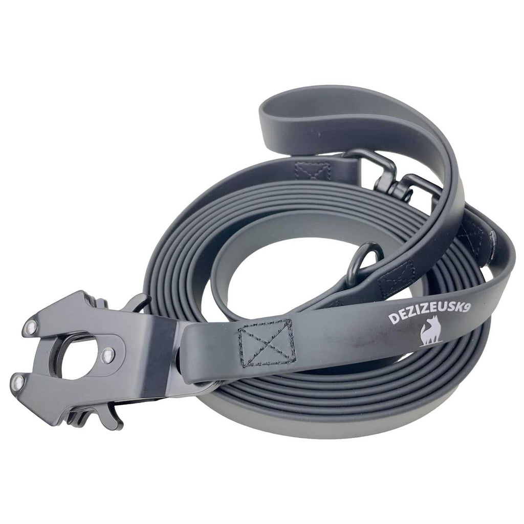 Heavy Duty Dog Leash with Quick Release Locking Carabiner Clasp I878