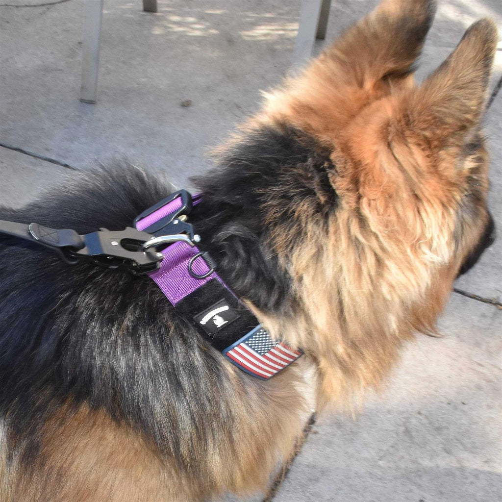 Heavy Duty Dog Leash with Quick Release Locking Carabiner Clasp I878