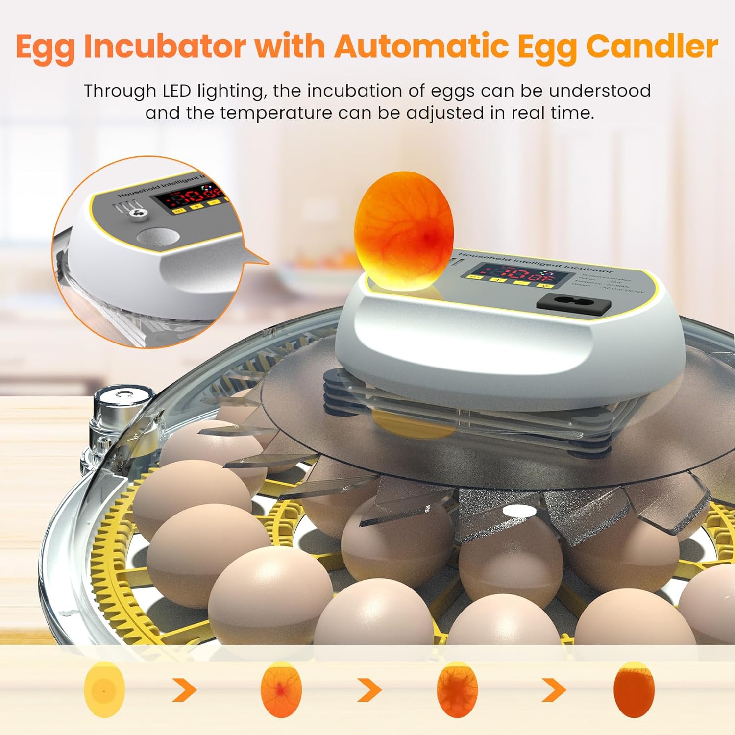 18-60 Eggs Incubator with Automatic Egg Turning and Auto Water Adding K163