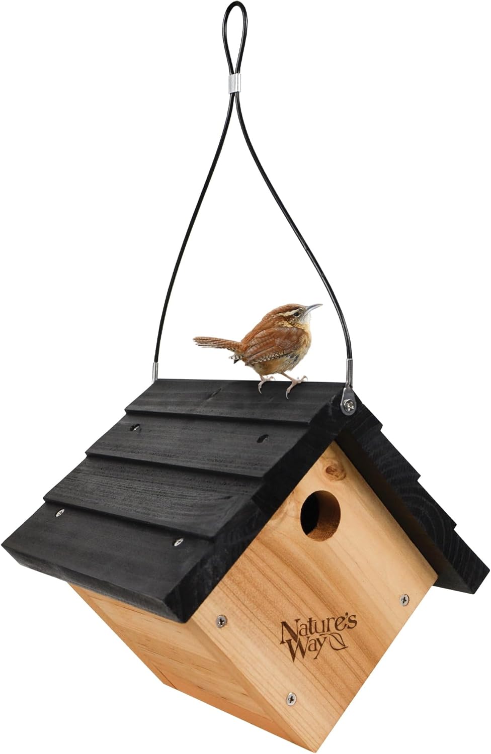 Cedar Wren House X290133