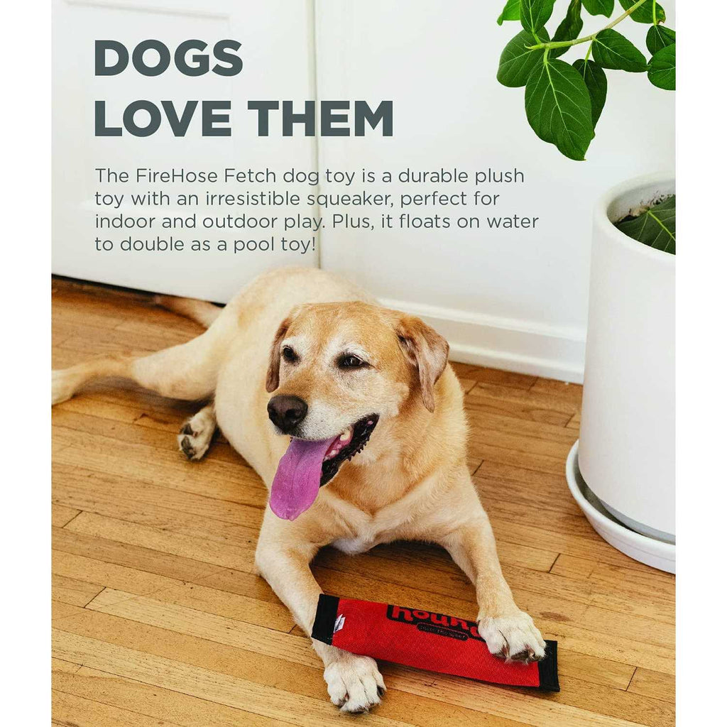Fetch Dog Toy W58889