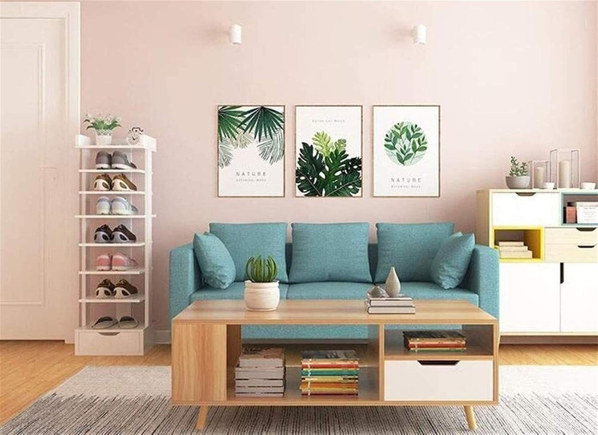 Tall Narrow Shoe Cabinet with Adjustable Shelf and Drawer O688