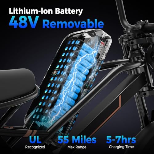1500W 48V Removable Battery 16'' Fat Tire Full Suspension Electric Bike Q69936