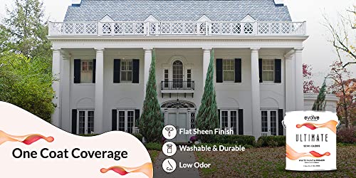 White Flat Interior Exterior Paint, 1-Gallon I866933