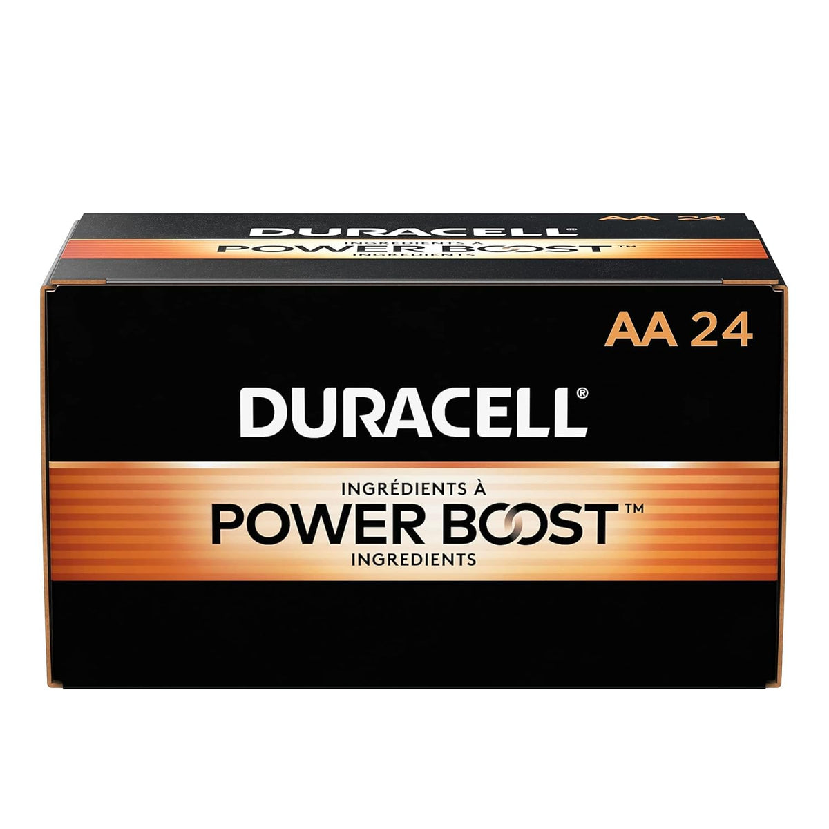 AA Alkaline Batteries 24/Pack V955