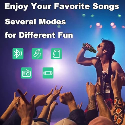 Black Wireless Bluetooth Karaoke Microphone Speaker T170315