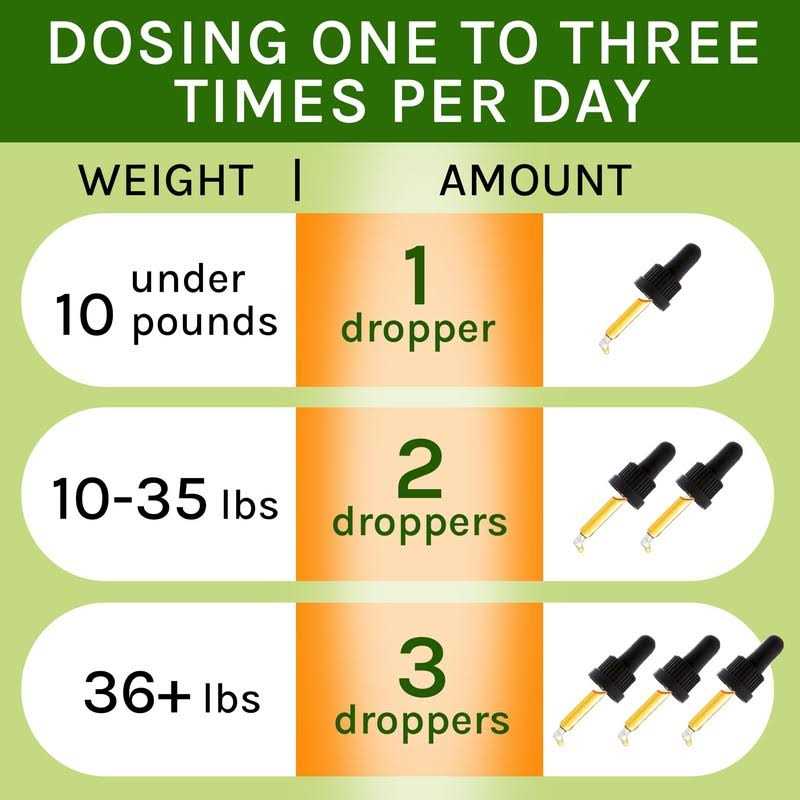 Kennel Cough Herbal Drops for Dogs & Cats Z561