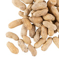 25 lb. Roasted Unsalted In-Shell Peanuts P741881