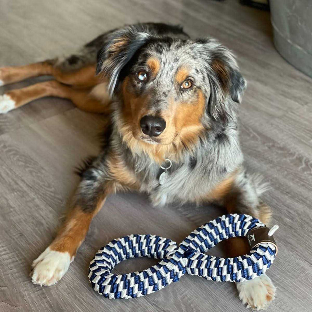 Braided Infinity Tug Toy G66769