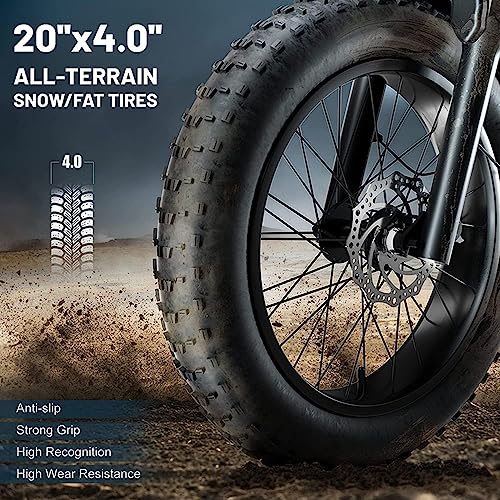 Electric Retro Cargo Bicycle 2000W Dual Motor 48V 18Ah 20" Fat Tire 7 Speed Ebike Y7092