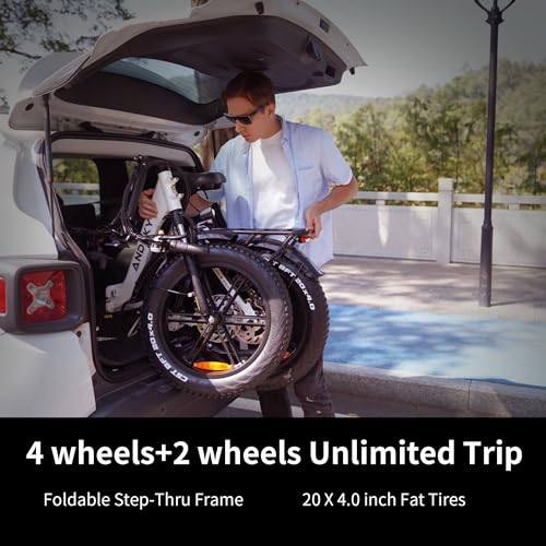 750W 48V 768WH Removable Battery Foldable 20''×4.0" Fat Tire Electric Bike E673