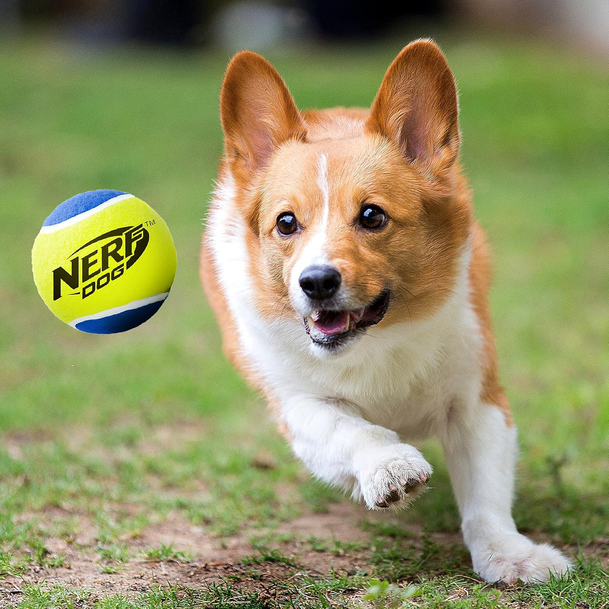 Tennis Ball Dog Toys, 3 Inches, Two Pack I348