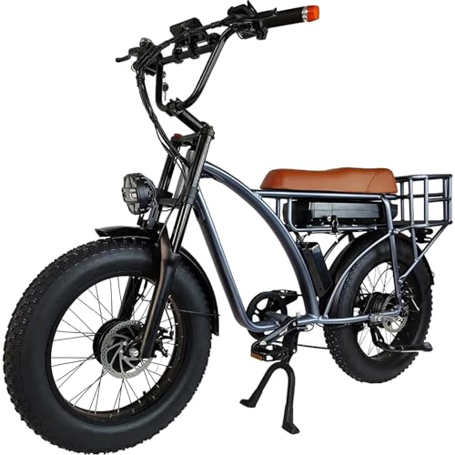 Electric Retro Cargo Bicycle 2000W Dual Motor 48V 18Ah 20" Fat Tire 7 Speed Ebike Y7092