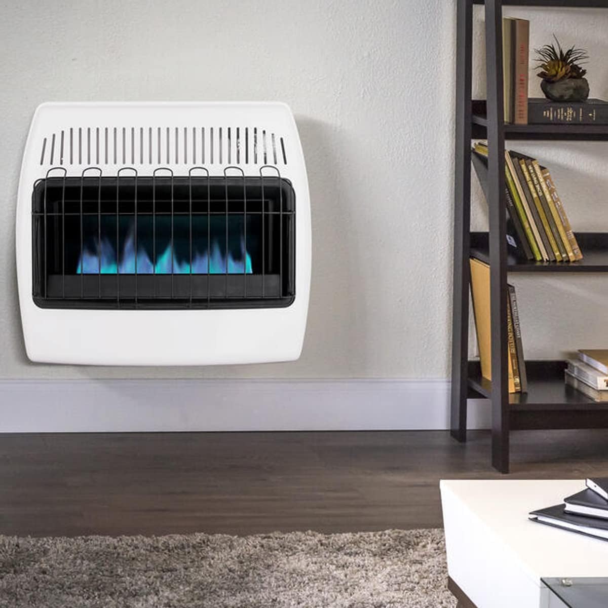 30,000 BTU Propane Natural Gas Wall Heater, White S29936