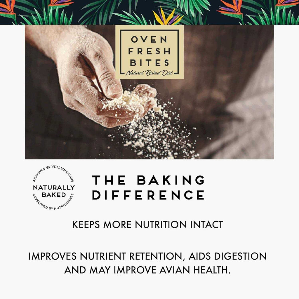 Oven Fresh Bites Large Pet Supplies R3483
