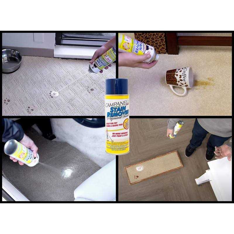 Stain Remover Pet Stain and Odor Eliminator S60148