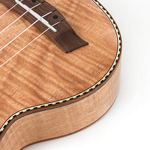 Soprano Ukulele 21 Inch Mahogany Starter Kit L296
