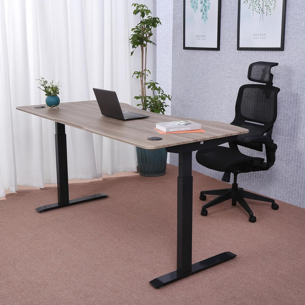 71" x 33" Electric Height Adjustable Desk with Curved Teak Top and Black Frame T395984