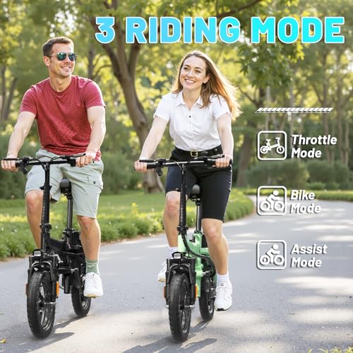 E Bike Electric Bike 500W Motor, Folding Ebike 14" 48V 10Ah Removable Battery W4754