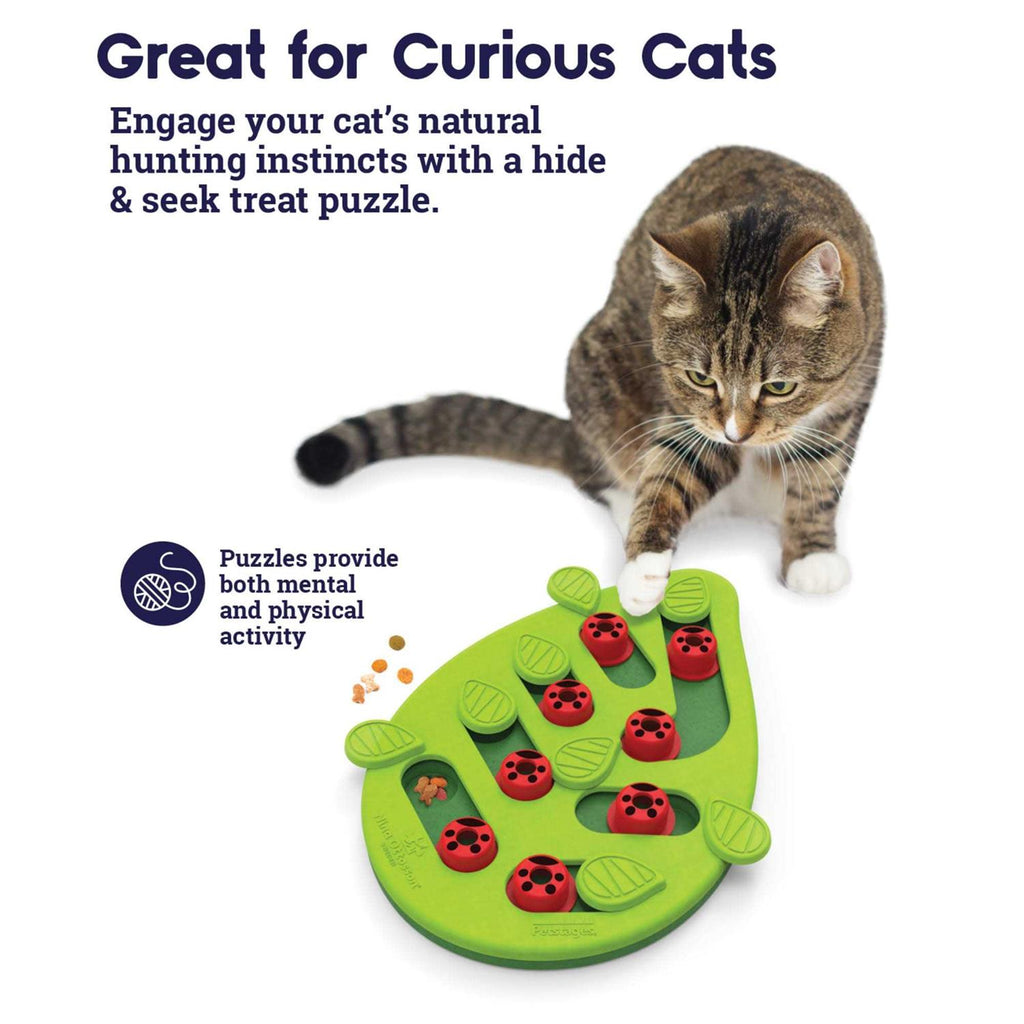 Cat Toy A569