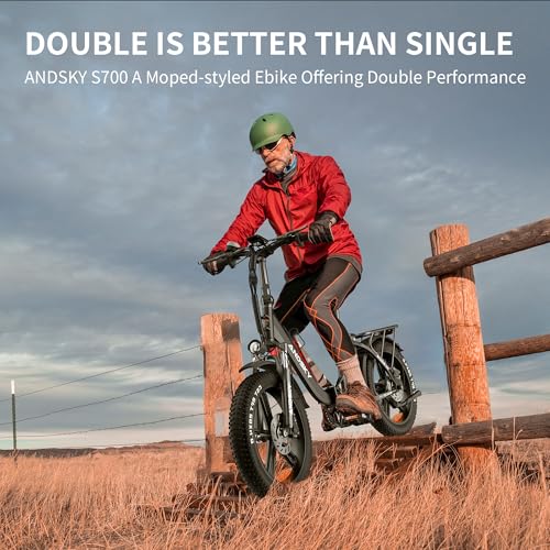 750W 48V 768WH Removable Battery Foldable 20''×4.0" Fat Tire Electric Bike E673