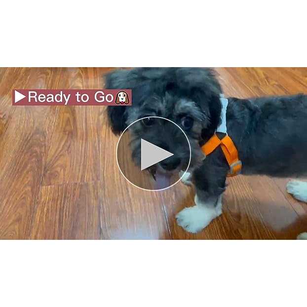 Adjustable Reflective Dog Harness with 2 Leash Clips X66700