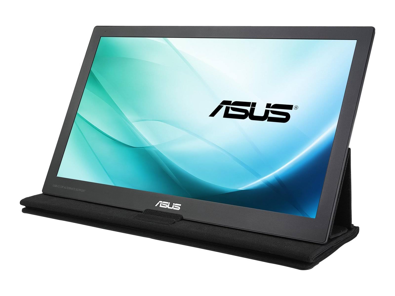 15.6x22 16:9 Portable IPS USB-Powered Monitor E681537