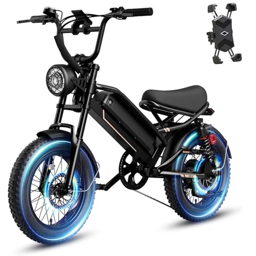 1500W 48V Removable Battery 16'' Fat Tire Full Suspension Electric Bike Q69936