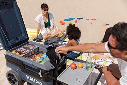 70 Qt Coolers A334