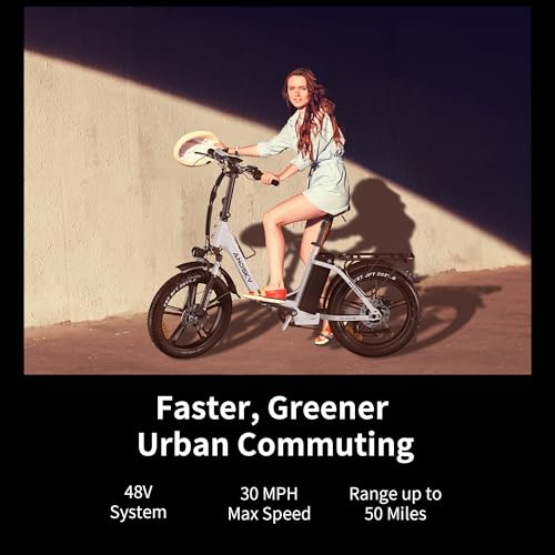 750W 48V 768WH Removable Battery Foldable 20''×4.0" Fat Tire Electric Bike E673