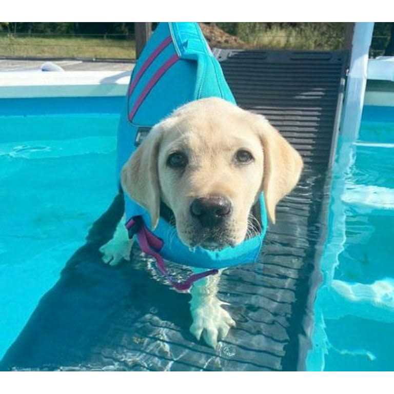 Pool Bundle U829251