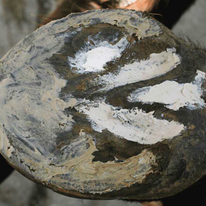 Hoof Clay 750g T8822