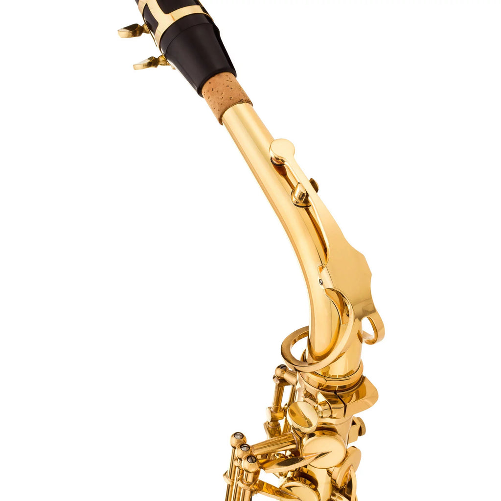 Intermediate Alto Saxophone with Case M843927