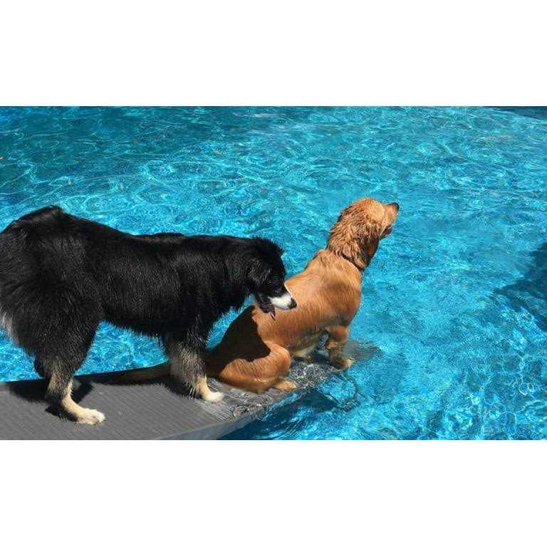 Pool Bundle U829251