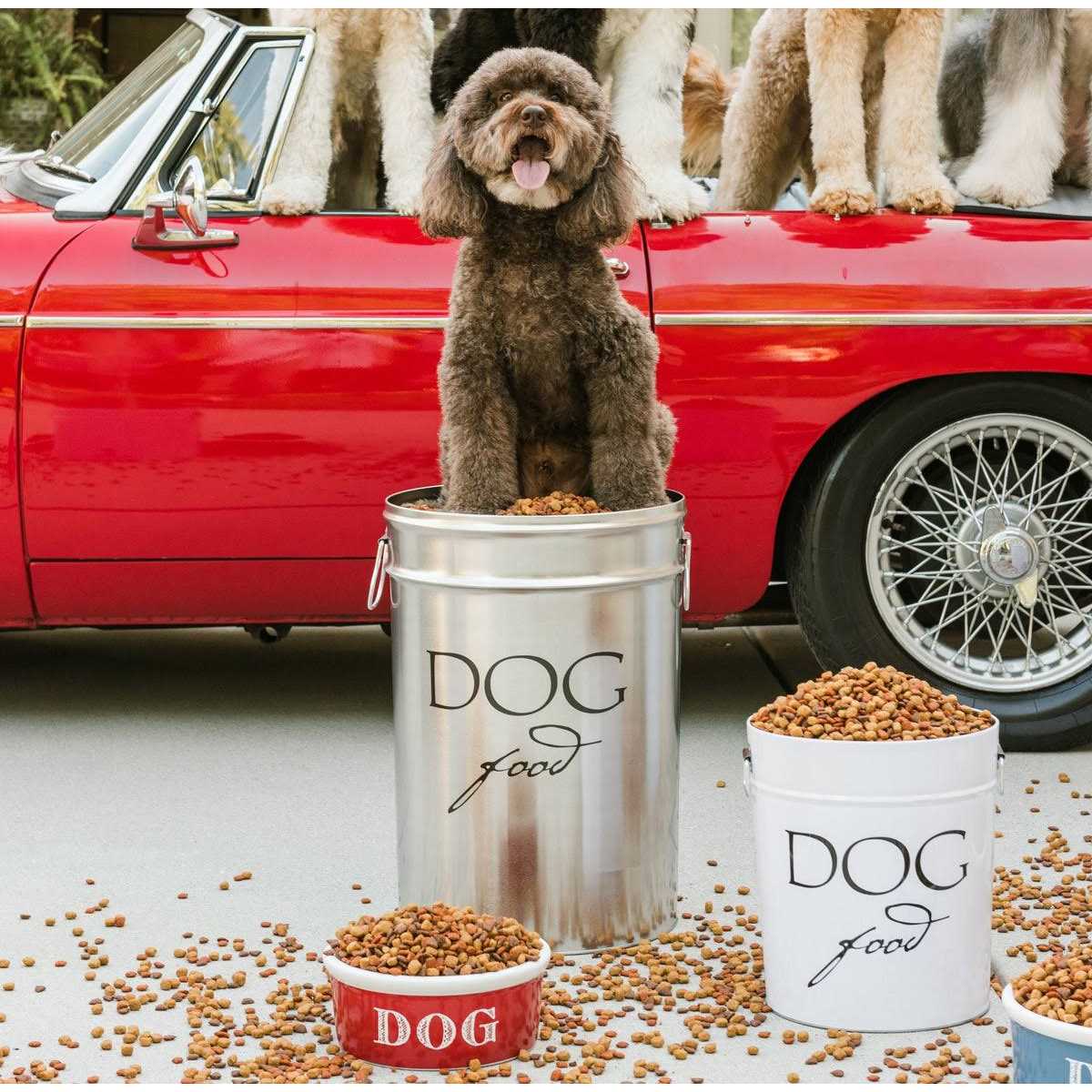 Classic Dog Food Storage Canister T3729