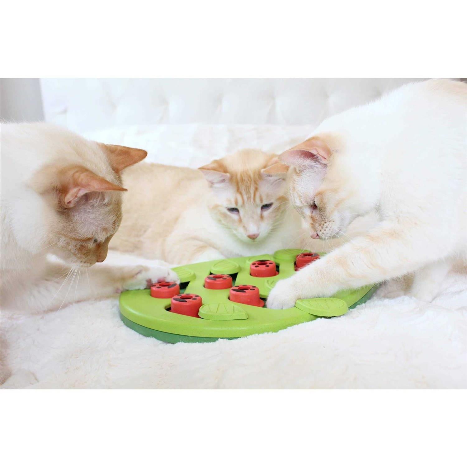 Cat Toy A569