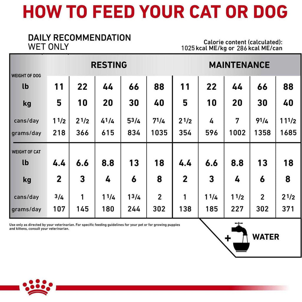 Recovery Ultra Soft Mousse in Sauce Wet Dog & Cat Food G983