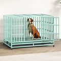Heavy Duty Steel Dog Crate with Wheels and Removable Tray T1115