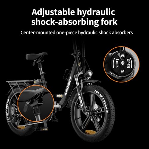 750W 48V 768WH Removable Battery Foldable 20''×4.0" Fat Tire Electric Bike E673